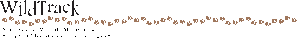 WildTrack